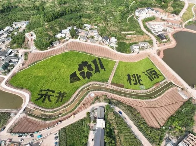 俯瞰宋井桃源。 大英縣委宣傳部供圖